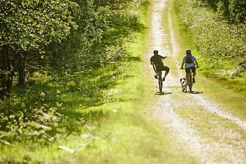 Leisure Cycling on The Suffolk Coast