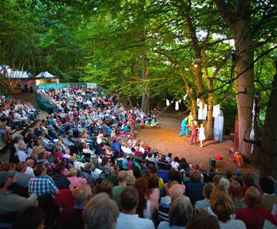 Theatre In The Forest At Home
