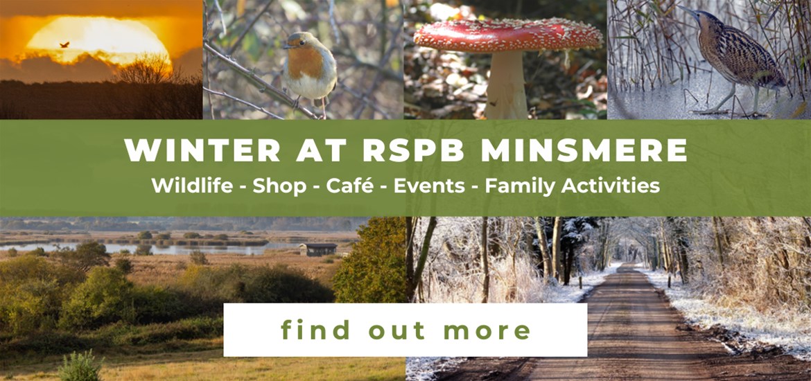 Banner Advertisement RSPB Minsmere December 2024