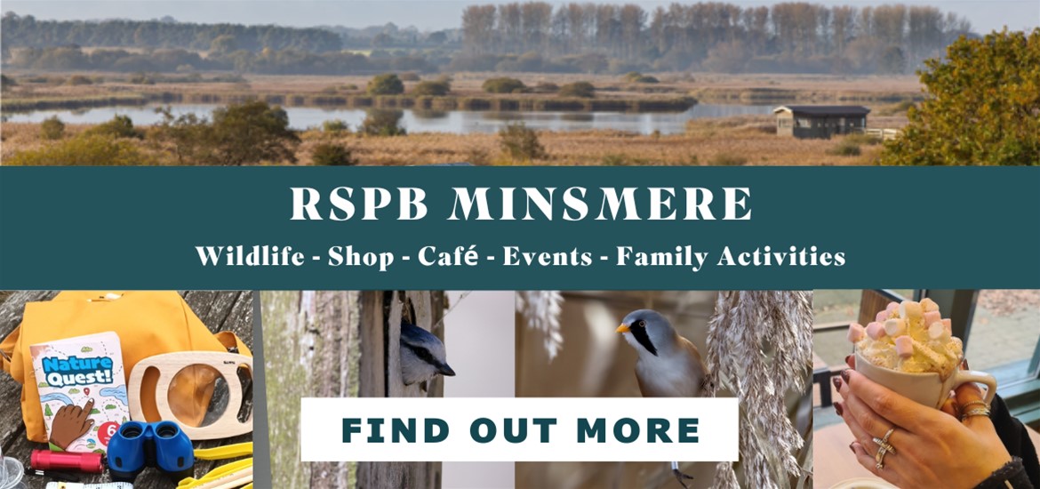 Banner Advertisement - RSPB Feb 25