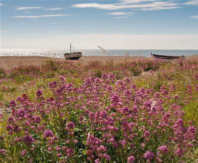 Why visit the Suffolk Coast?