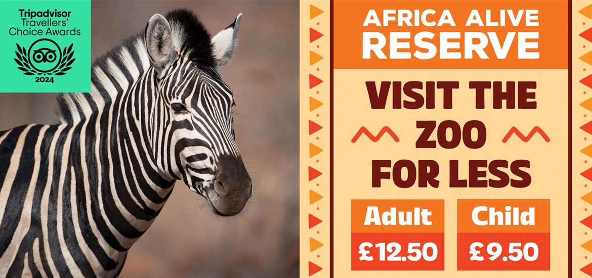 Banner Advertisement - Africa Alive - July 2024