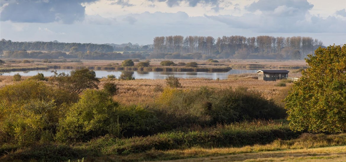 Banner TTD - Attractions RSPB