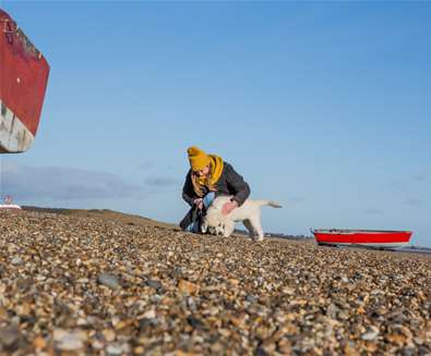 A Winter Guide to Dog Friendly Beaches