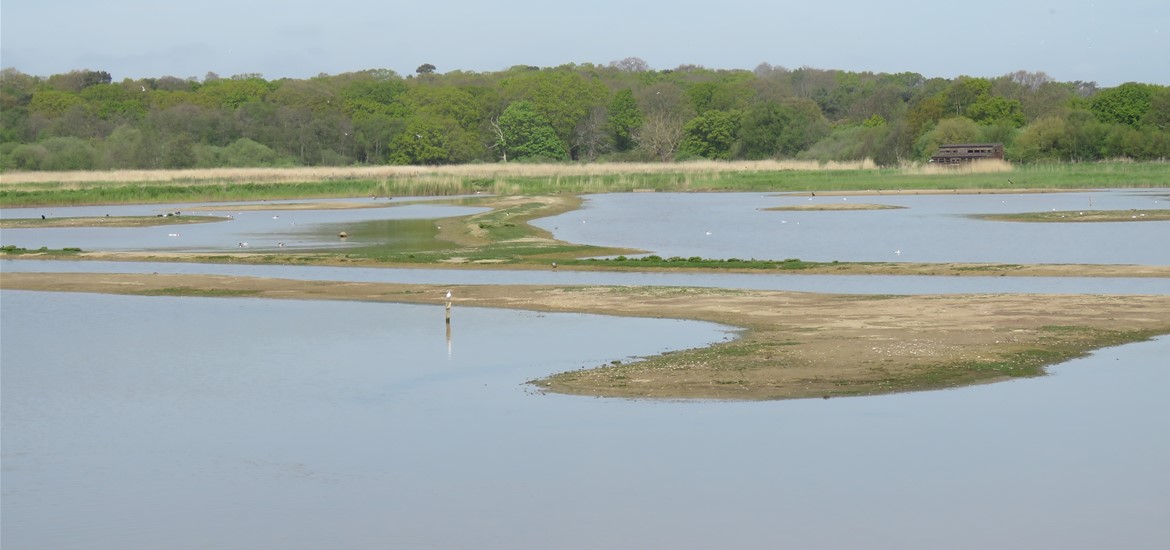 Women's Wildlife Walk