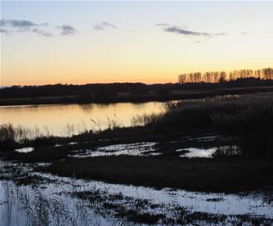 Sunset Stroll at Minsmere