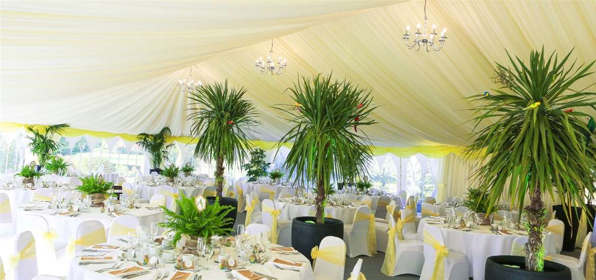 Weddings - Hungarian Hall - Marquee with trees