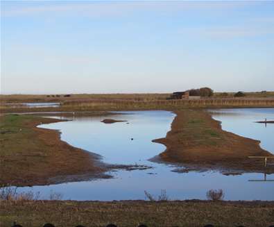 Hire a Guide at Minsmere